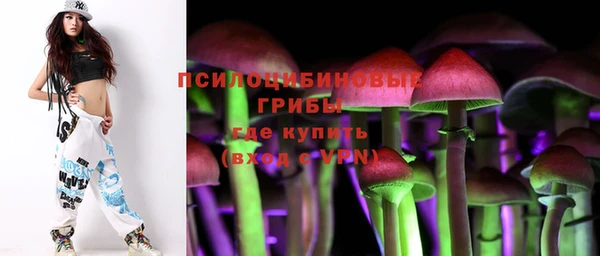 гидра Богородицк