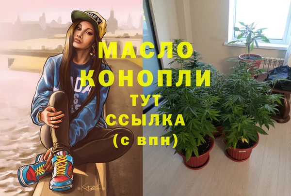 молекула духа Богородск