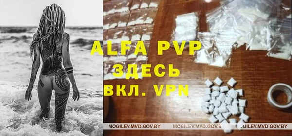 ПСИЛОЦИБИНОВЫЕ ГРИБЫ Богданович