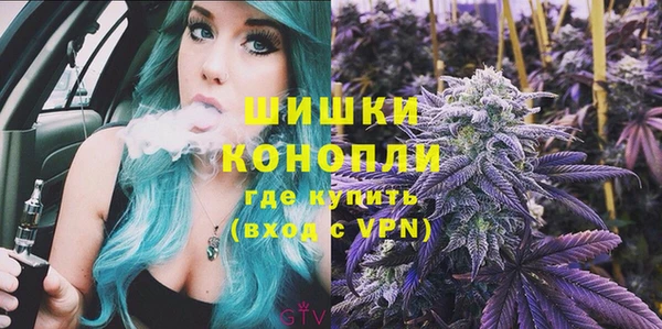 гидра Богородицк