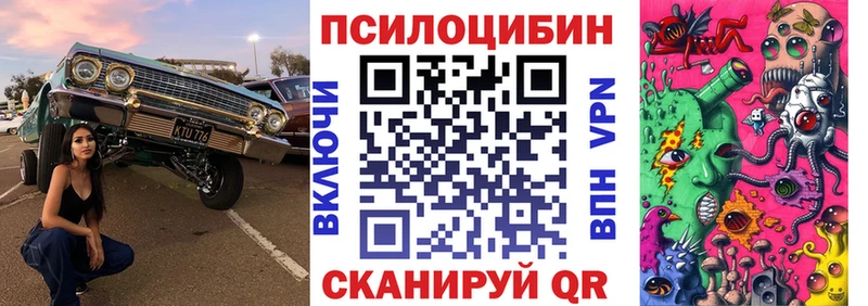 Псилоцибиновые грибы мухоморы  блэк спрут сайт  Волгореченск 